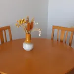 公寓 Apartamentosolpraia Belohorizonte Vista Mar
